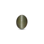 Catseye - 3.22 Carat - Pramogh