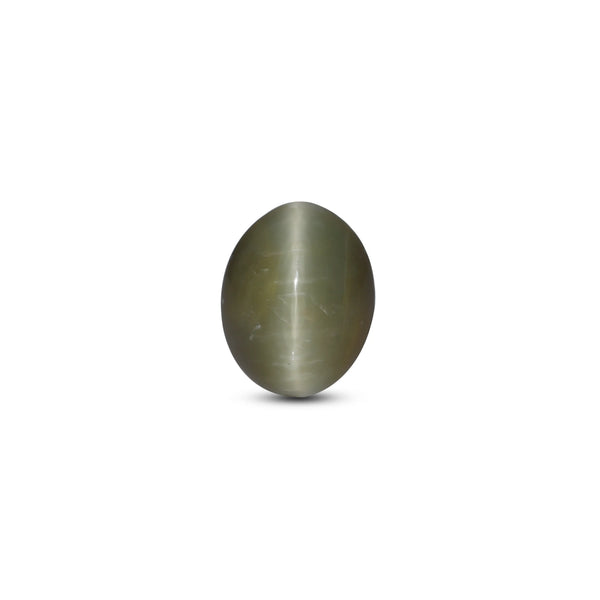 Catseye - 3.22 Carat - Pramogh