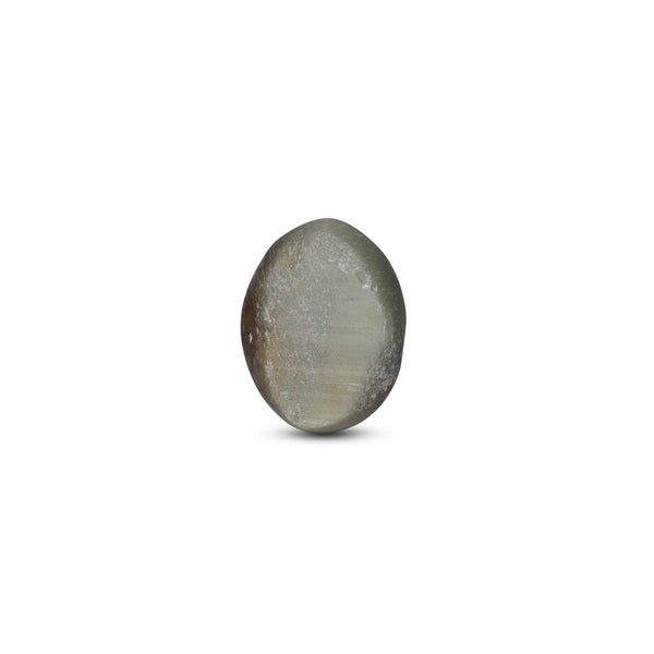 Catseye - 3.1 Carat