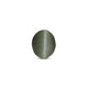 Catseye - 4.55 Carat - Pramogh
