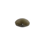 Catseye - 3.95 Carat