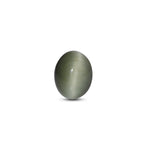 Catseye - 5.05 Carat - Pramogh