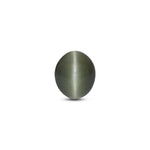 Catseye - 4.6 Carat - Pramogh