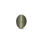 Catseye - 3.2 Carat - Pramogh