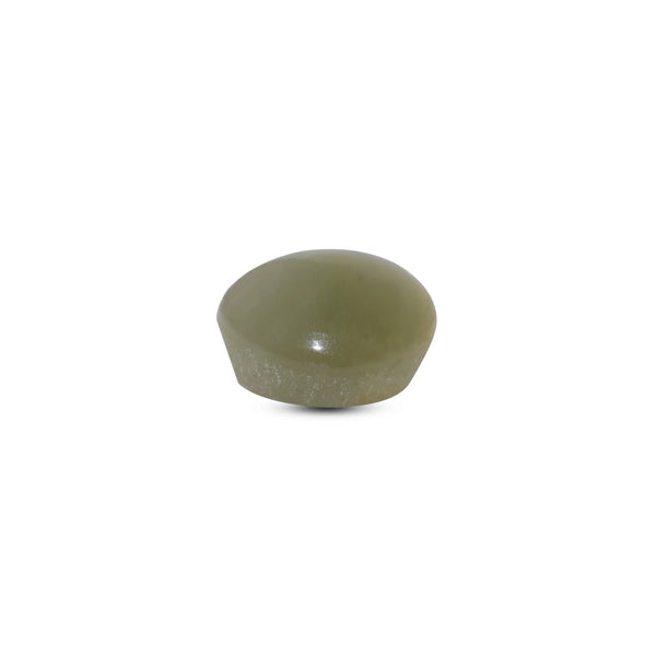 Catseye - 3.1 Carat