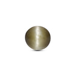 Catseye - 4.2 Carat - Pramogh