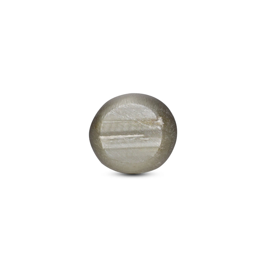 Catseye - 3.6 Carat