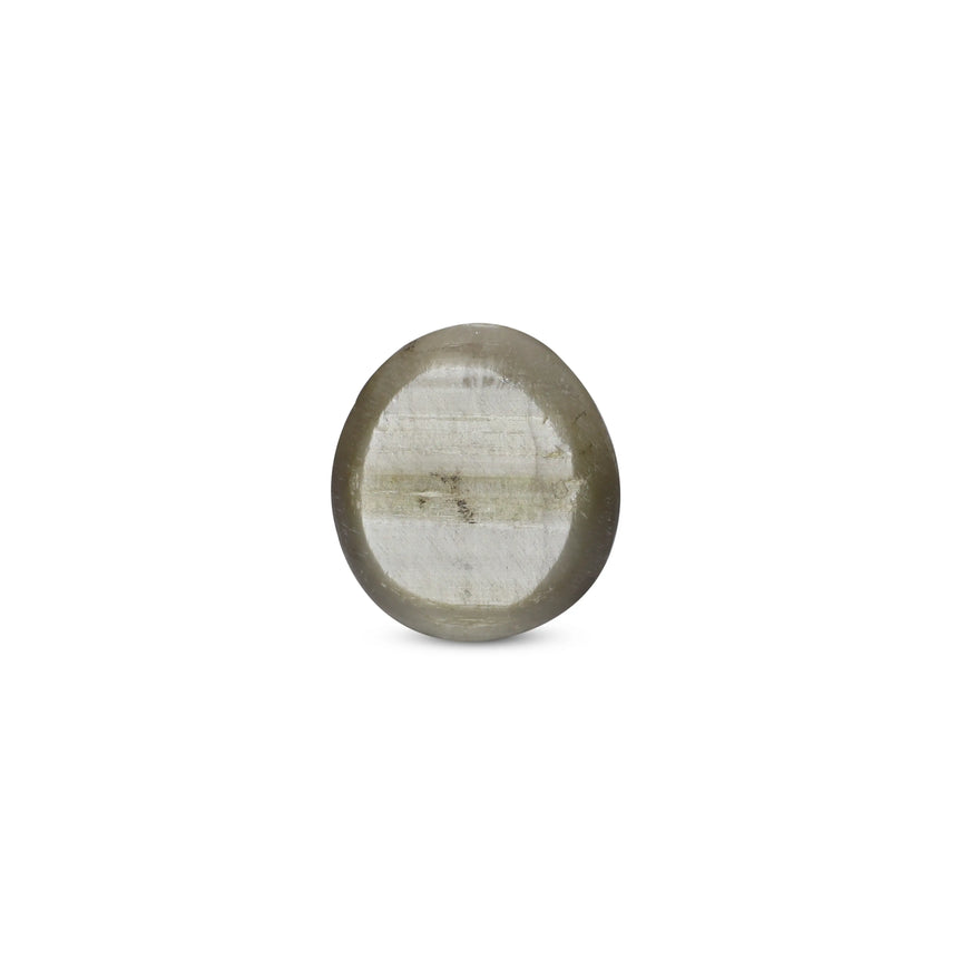 Catseye - 3.1 Carat