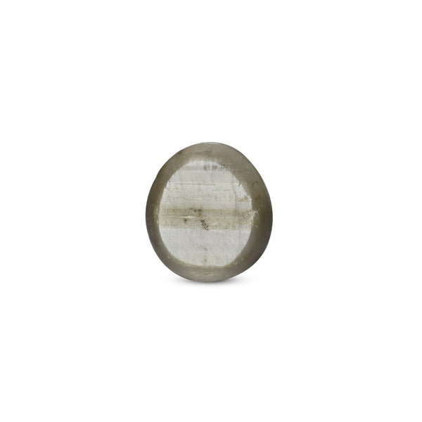 Catseye - 3.1 Carat
