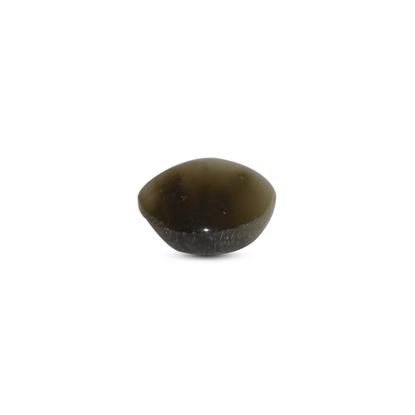 Catseye - 3.2 Carat