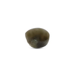 Catseye - 3.6 Carat