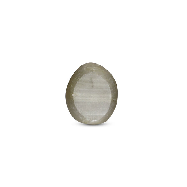 Catseye - 3.6 Carat