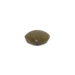 Catseye - 3.6 Carat