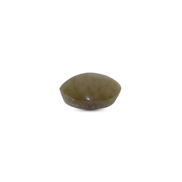 Catseye - 3.6 Carat
