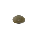 Catseye - 3.25 Carat