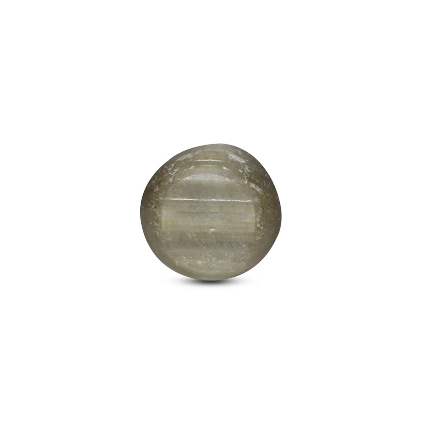 Catseye - 3.2 Carat