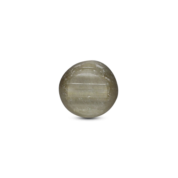 Catseye - 3.2 Carat