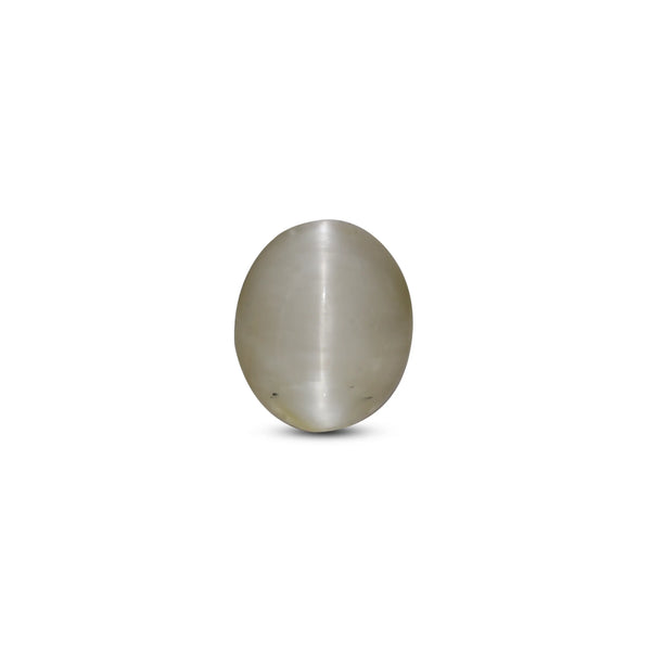 Catseye - 3.1 Carat - Pramogh