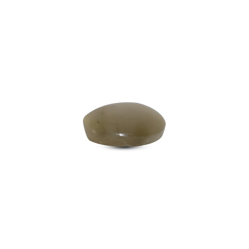 Catseye - 3.1 Carat