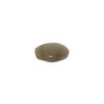 Catseye - 3.1 Carat