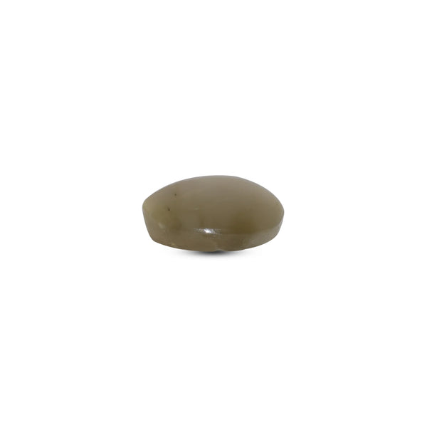 Catseye - 3.1 Carat