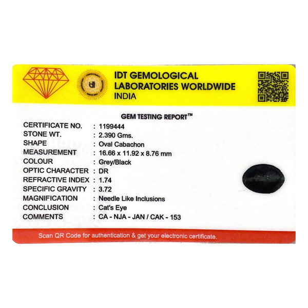 Catseye - 11.95 Carat