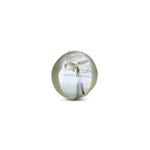 Catseye Chrysoberyl  - 2 Carat