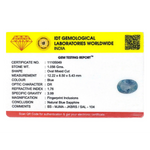 Blue Sapphire - 5.28 Carat