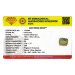 Yellow Sapphire - 2.85 Carat - Pramogh