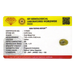 Yellow Sapphire - 2.85 Carat - Pramogh