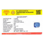 Blue Sapphire - 6.05 Carat