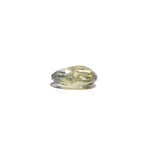 Bi-Color Sapphire (Pitambari) - 3.03 Carat