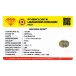 Yellow Sapphire - 4.85 Carat - Pramogh
