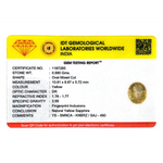 Yellow Sapphire - 4.95 Carat - Pramogh