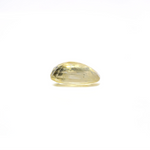 Yellow Sapphire - 5.3 Carat