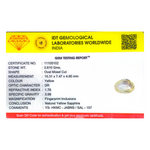 Yellow Sapphire - 4.05 Carat