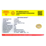 Yellow Sapphire - 4.05 Carat
