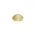 Yellow Sapphire - 4.1 Carat