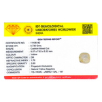 Yellow Sapphire - 3.65 Carat