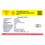 Yellow Sapphire - 4.23 Carat