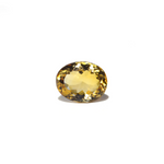 Citrine - 4.7 Carat - Pramogh