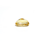 Citrine - 4.9 Carat - Pramogh
