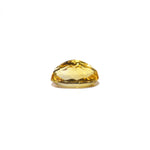 Citrine - 4.75 Carat - Pramogh