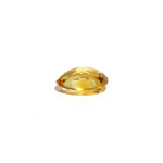 Citrine - 4.6 Carat - Pramogh