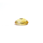 Citrine - 4.5 Carat - Pramogh
