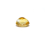 Citrine - 4.65 Carat - Pramogh