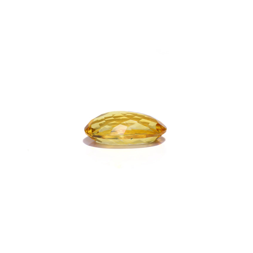 Citrine - 4.5 Carat - Pramogh