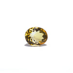 Citrine - 4.15 Carat - Pramogh