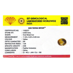 Citrine - 4.15 Carat - Pramogh