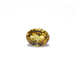 Citrine - 4.5 Carat - Pramogh